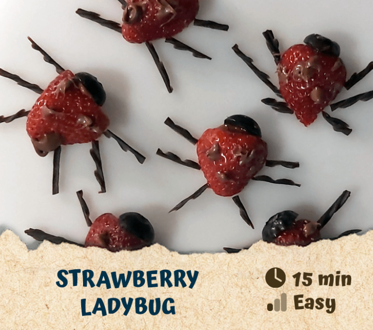 Strawberry Ladybug