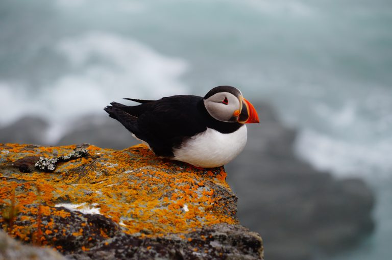 Congratulations to the Winners of Our Backyard Biologist Photo Contest!