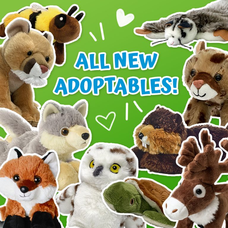 Which New Animal Will You Adopt?