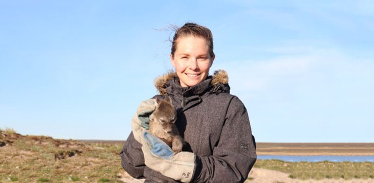 Ask an Expert: Arctic Fox Researcher Interview