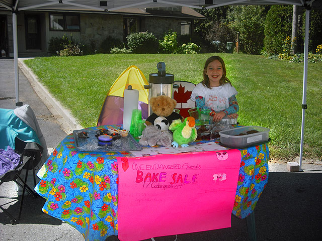 bake sale, fundraiser, holly