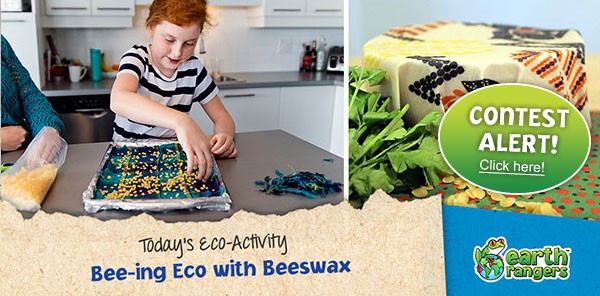 Eco-Activity: Bee-ing Eco With Beeswax