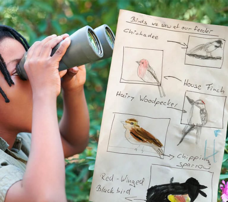 Become a Local Bird Guide