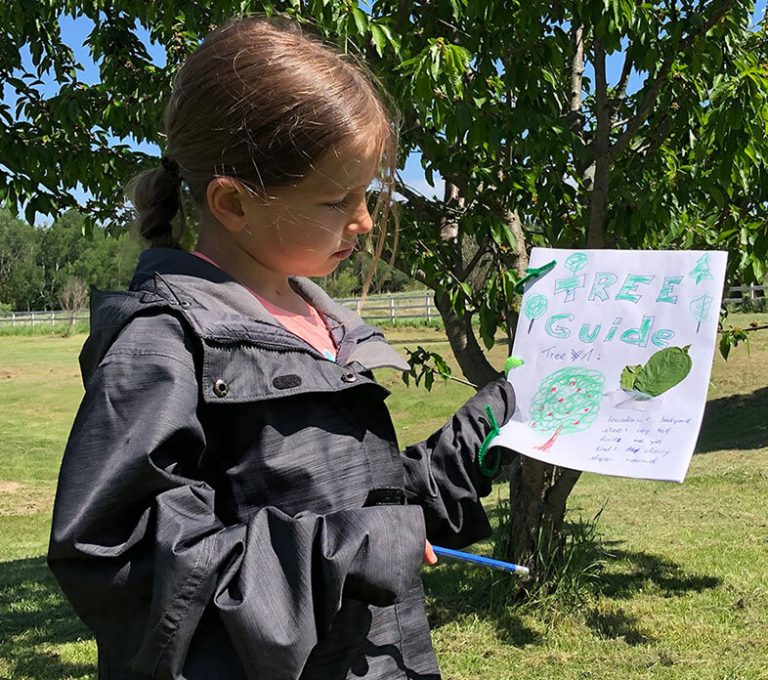 Local Tree Guidebook