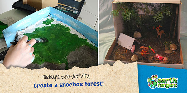 Eco-Activity: Create a shoebox forest!