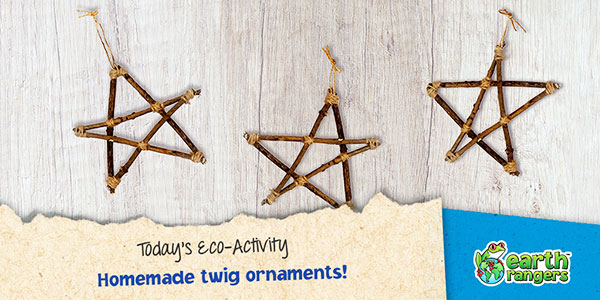 Eco-Activity: Homemade twig ornaments!