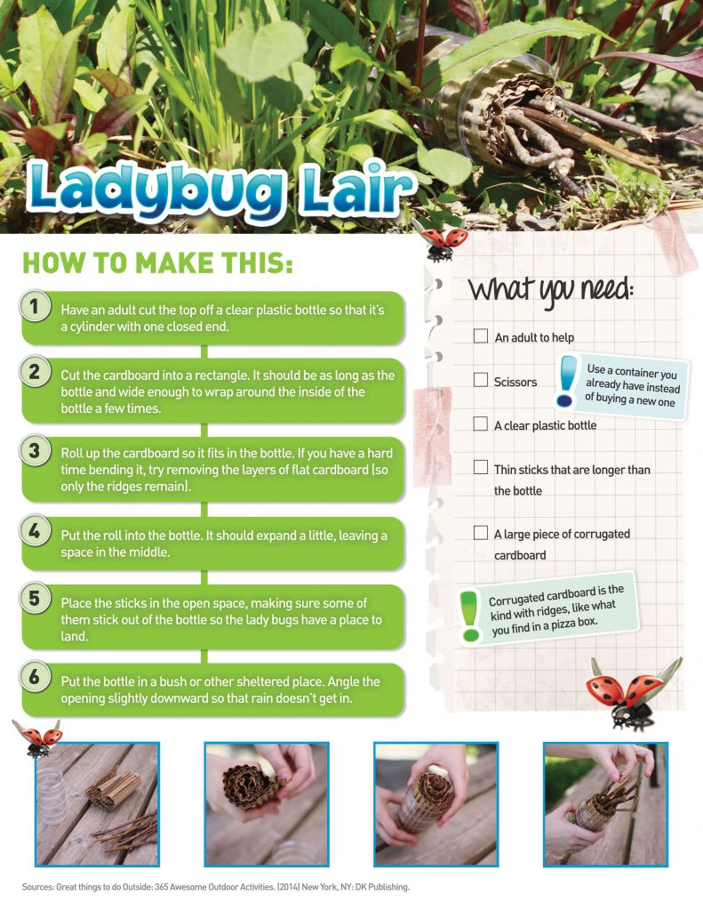 Ladybug Lair Earth Rangers Where Kids Go To Save Animals