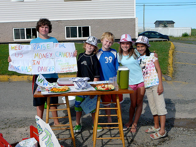 lemonade stand, kids, fundraising,