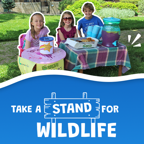 Take A Stand for Wildlife!