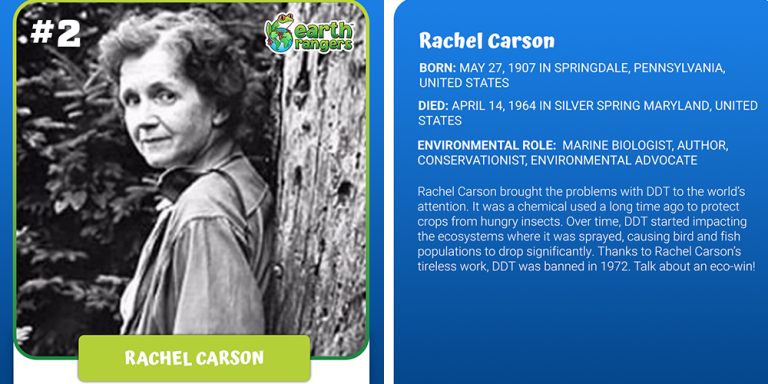 Eco All-Star #2: Rachel Carson