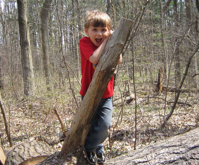 super ranger sam, climbing, tree